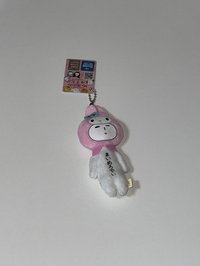 美樂蒂