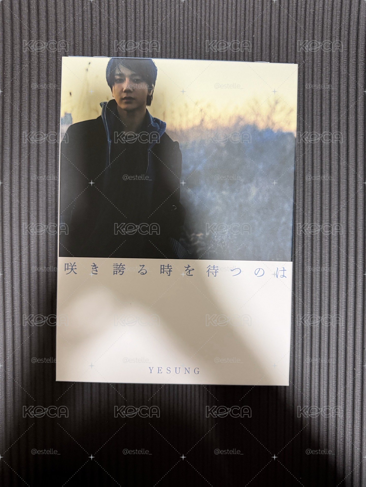 藝聲日專D版 空專