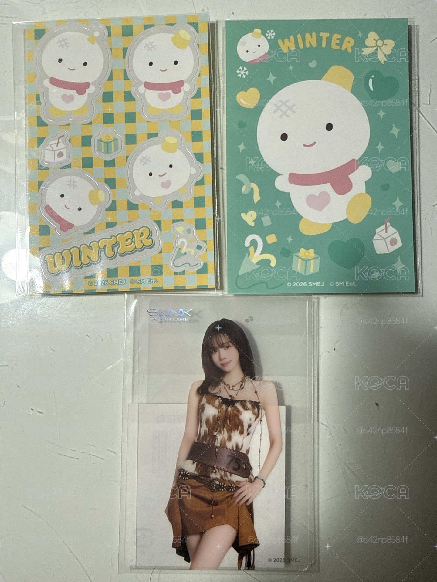 冬盤