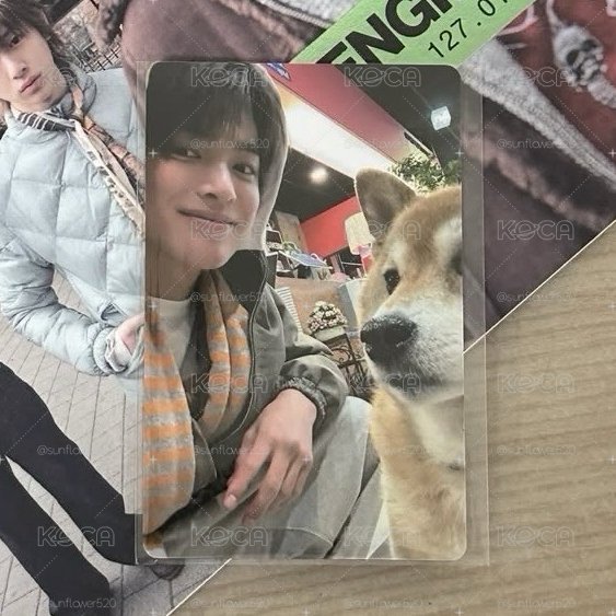 狗狗安小卡🐶現貨出