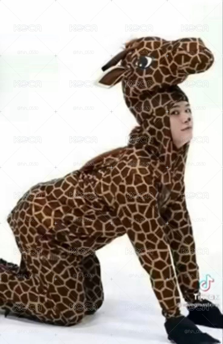寅福袋