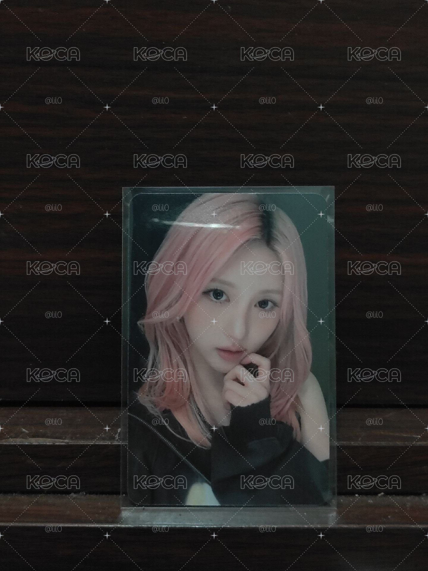 oy秋