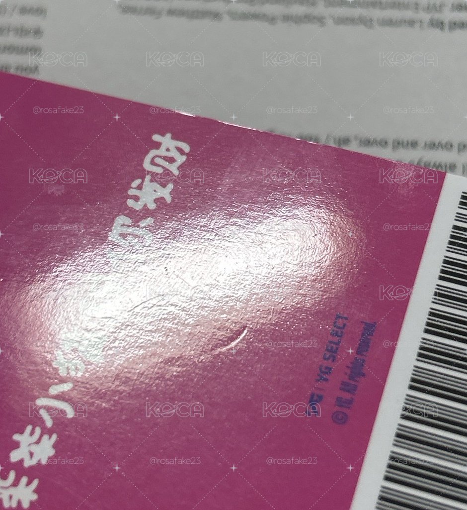 BM 柒柒小貓祝你發財