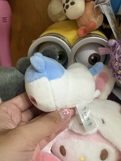 吉伊卡哇 CHIIKAWA小8
