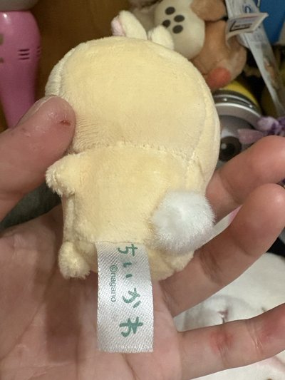 吉伊卡哇 CHIIKAWA兔子烏薩奇