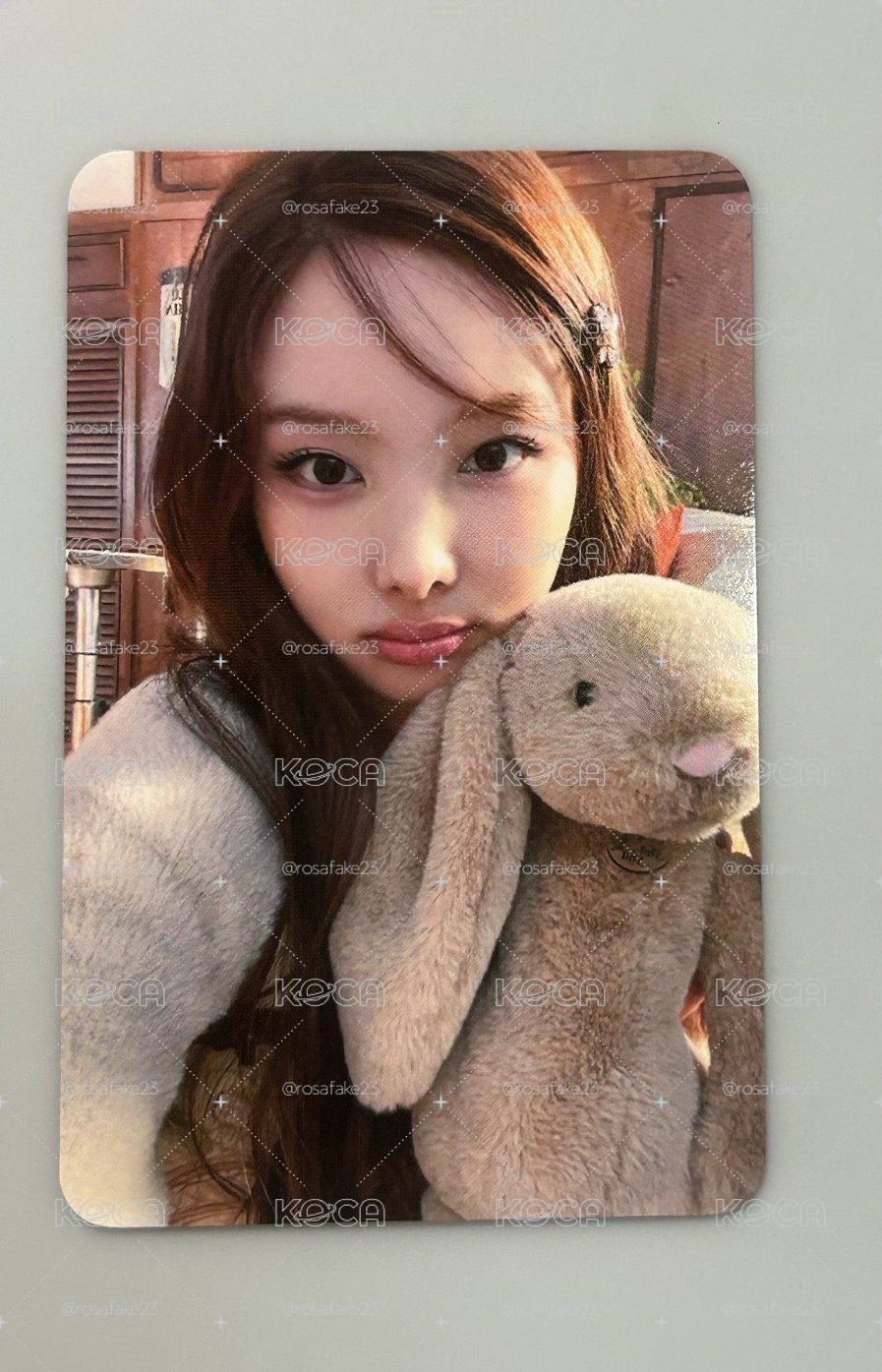 TWICE 抱兔兔璉