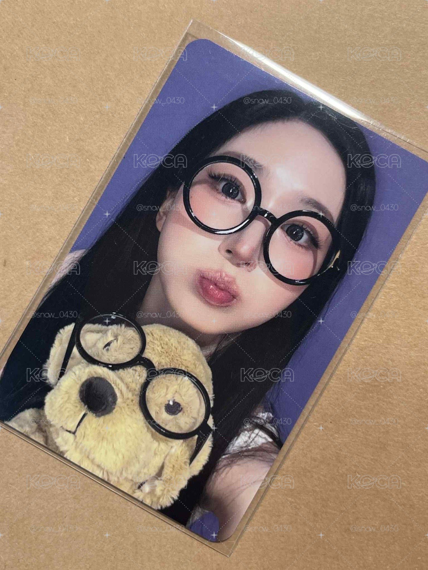眼鏡小狗