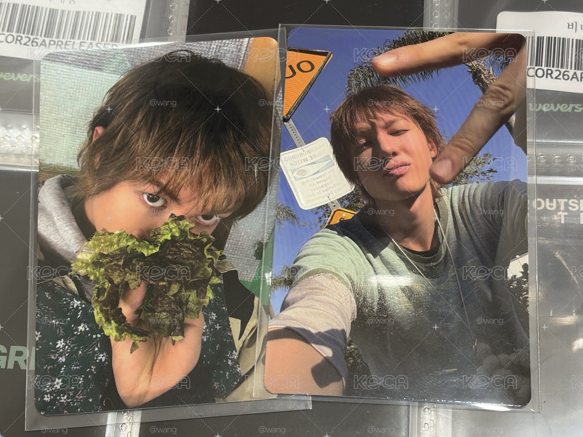 ma簽售/wvs幸運 馬