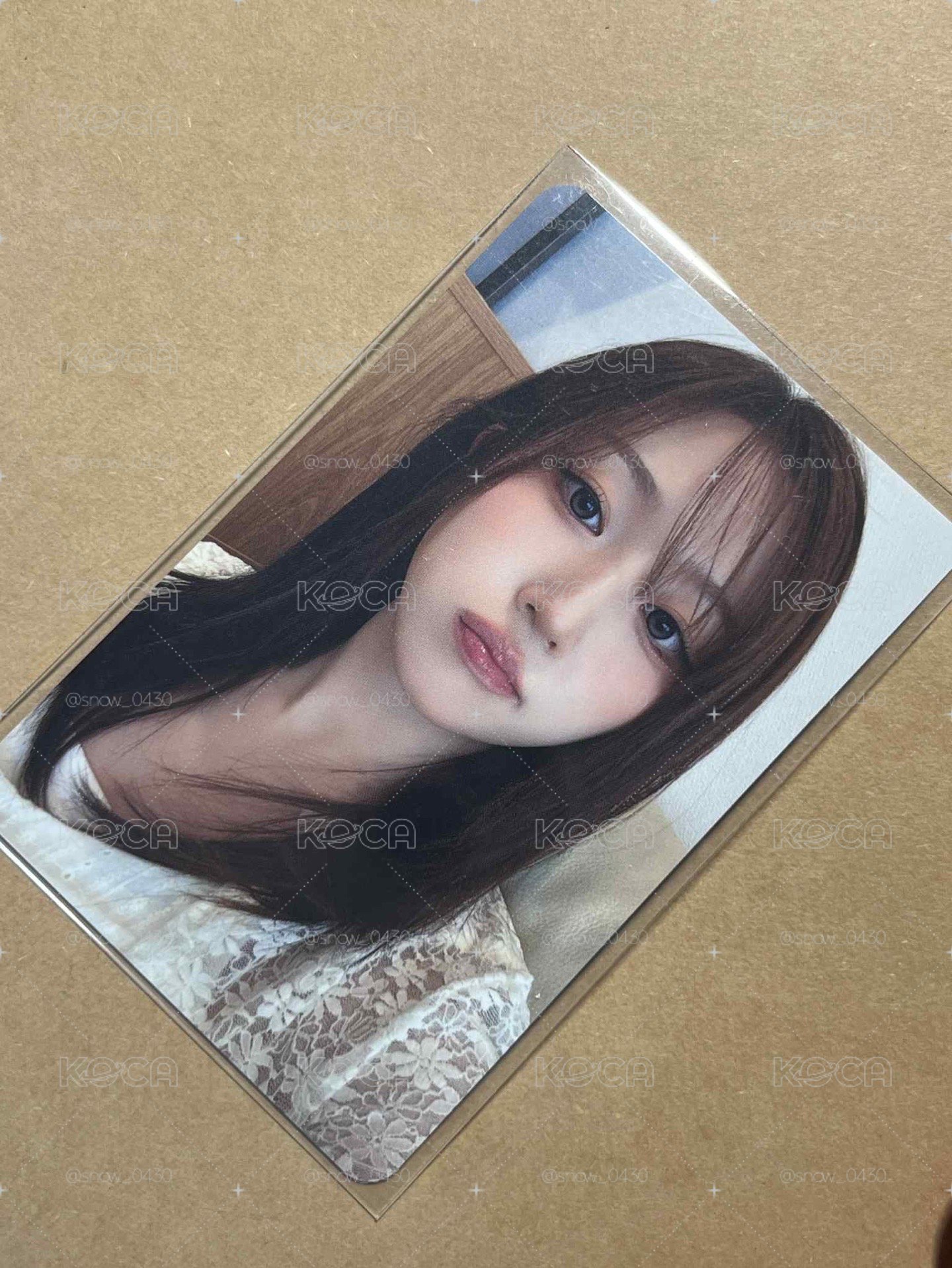 合影