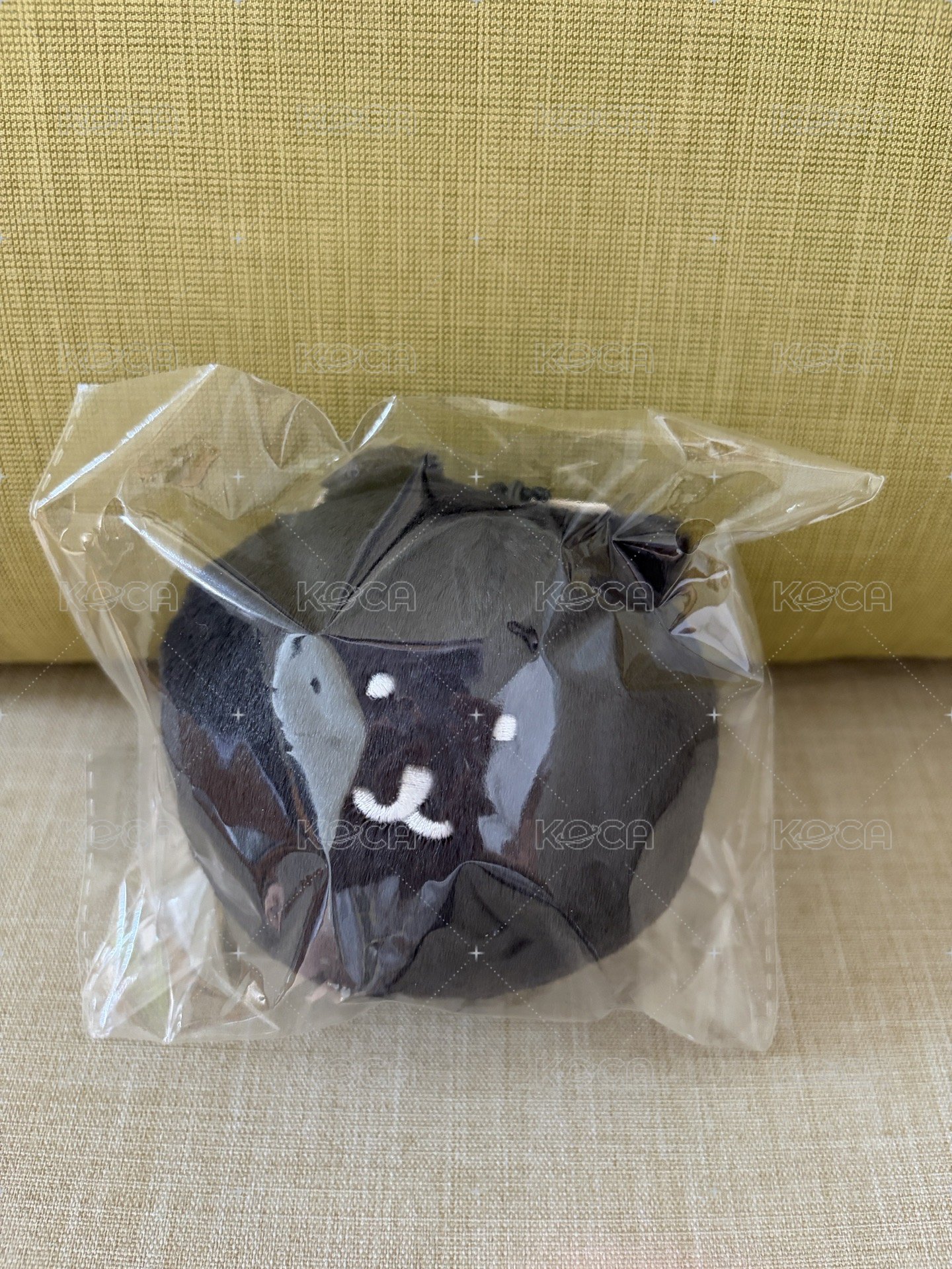 普通熊