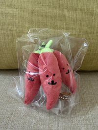 辣椒+醃蘿蔔