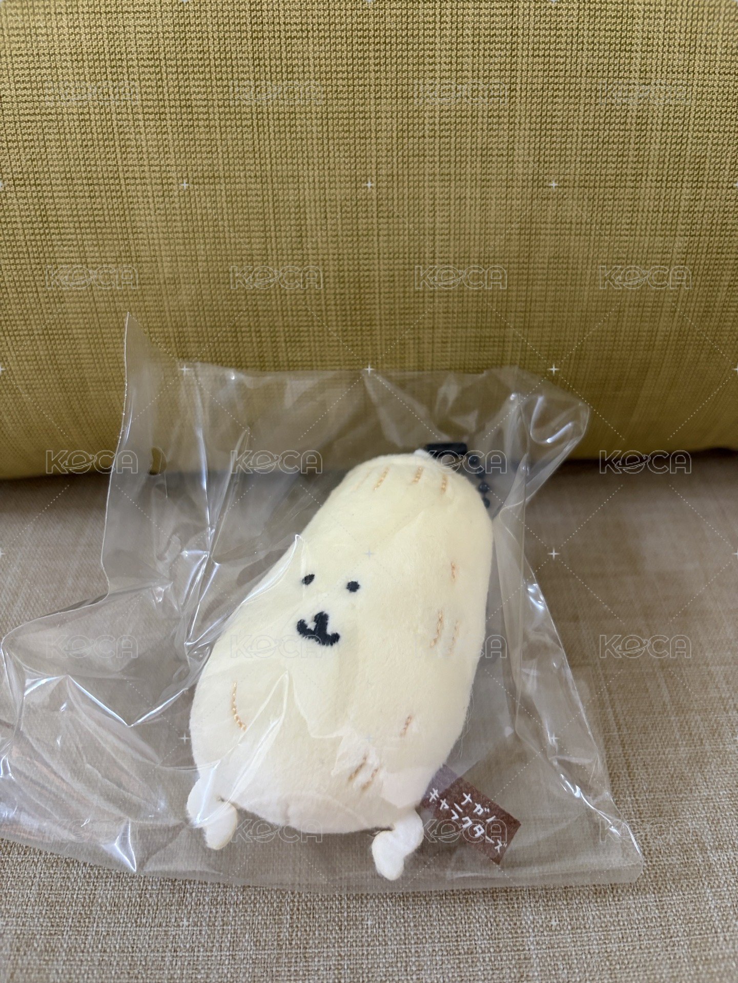 蕗蕎
