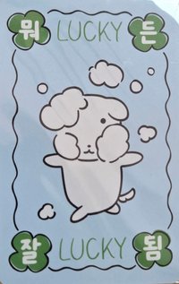 Torriden 特典卡 