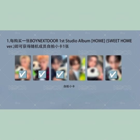 非現_🐱🦦🐶⛄與🐼