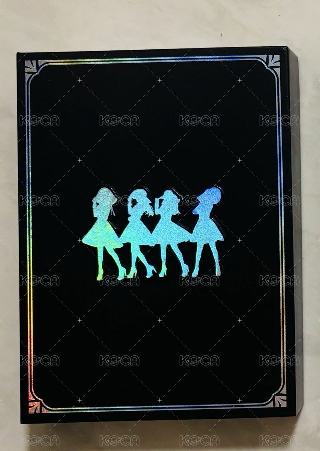 2017 演唱會DVD