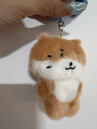榮 奎 燦 率手燈環