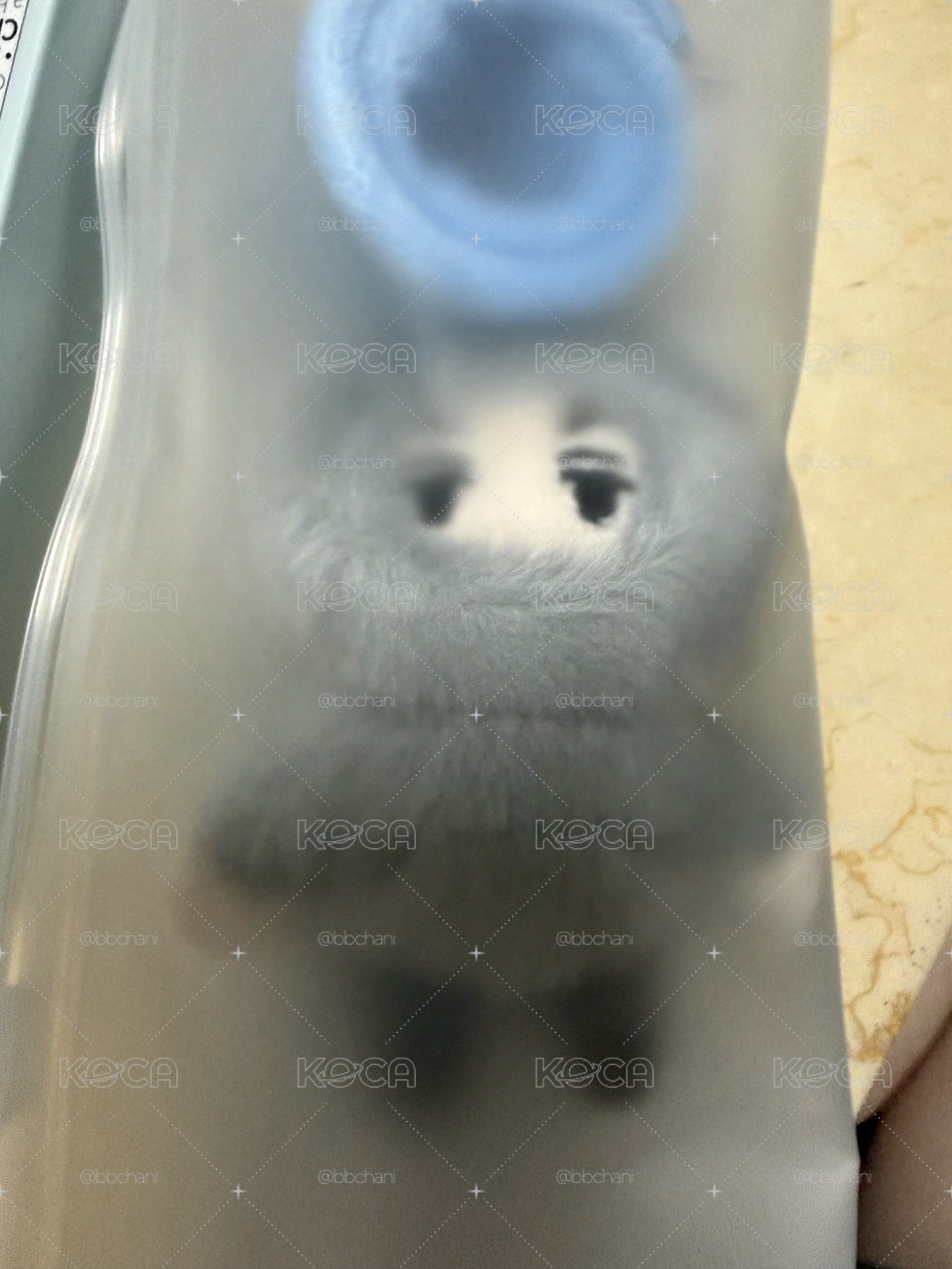 榮 奎 燦 率手燈環