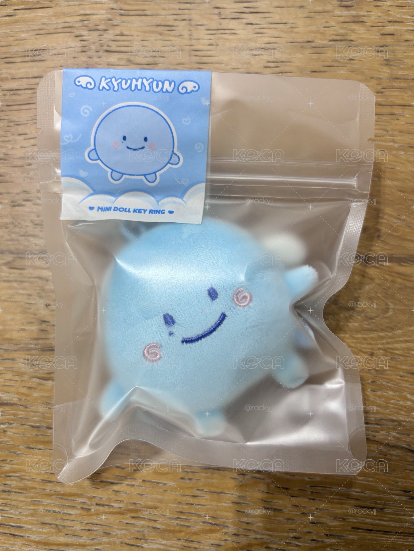 SJ 19週年 糰 圭賢