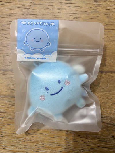 SJ 19週年 糰 圭賢