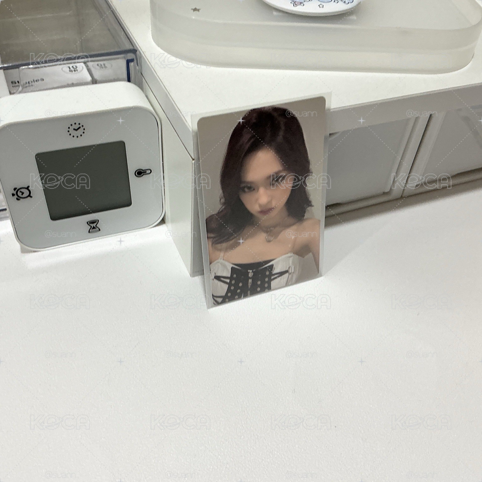 二週年wvs柒