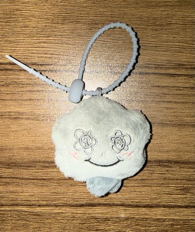 灰色小灰塵（已拆無原裝袋）