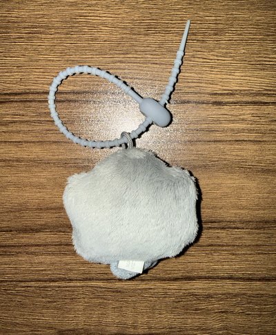 灰色小灰塵（已拆無原裝袋）