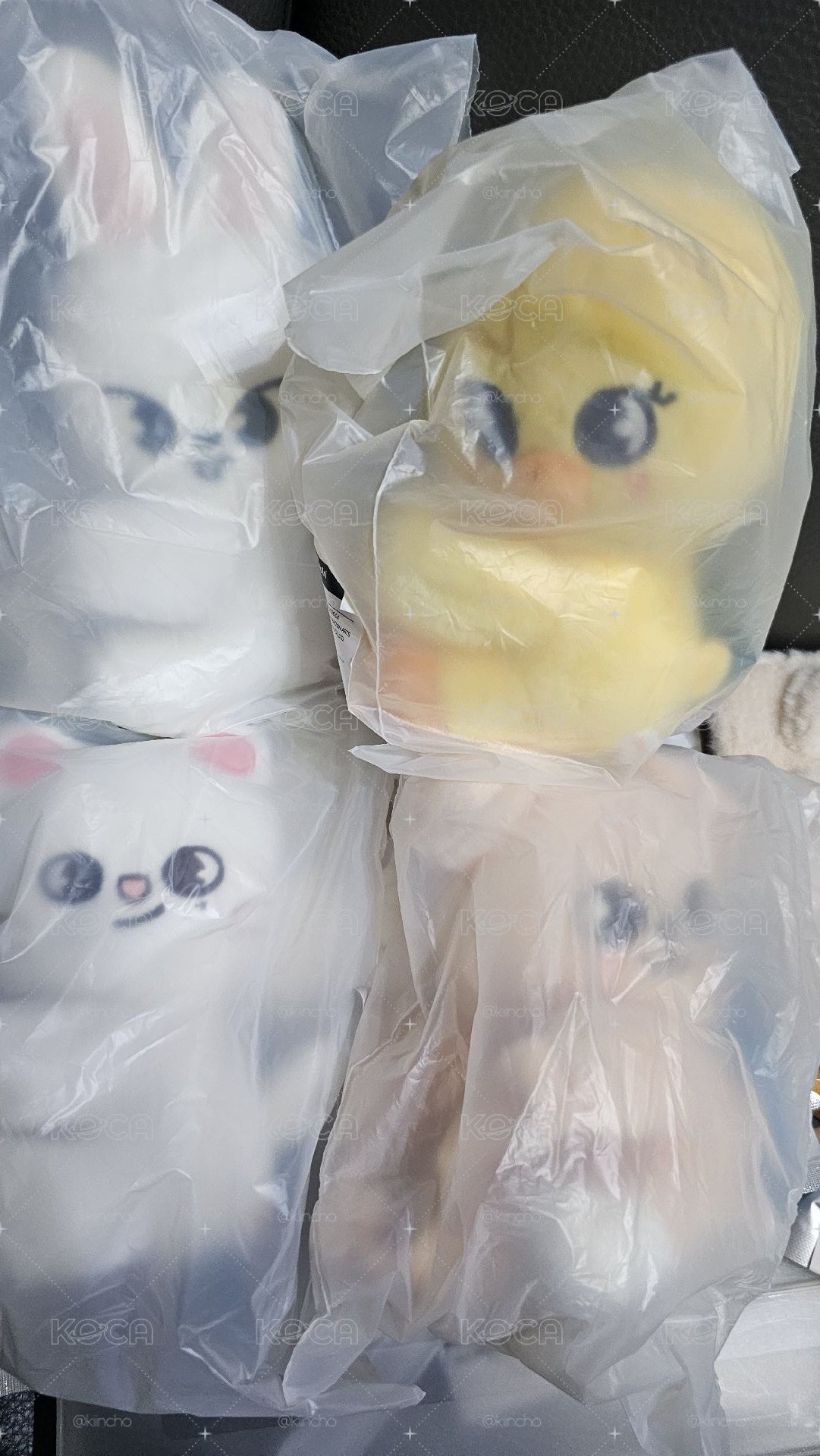 手燈趴娃 旻辰菲玟