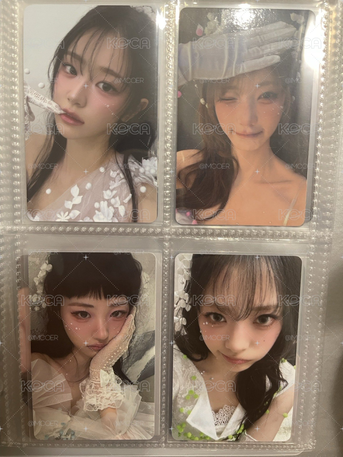 wvs預售