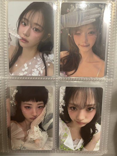 wvs預售