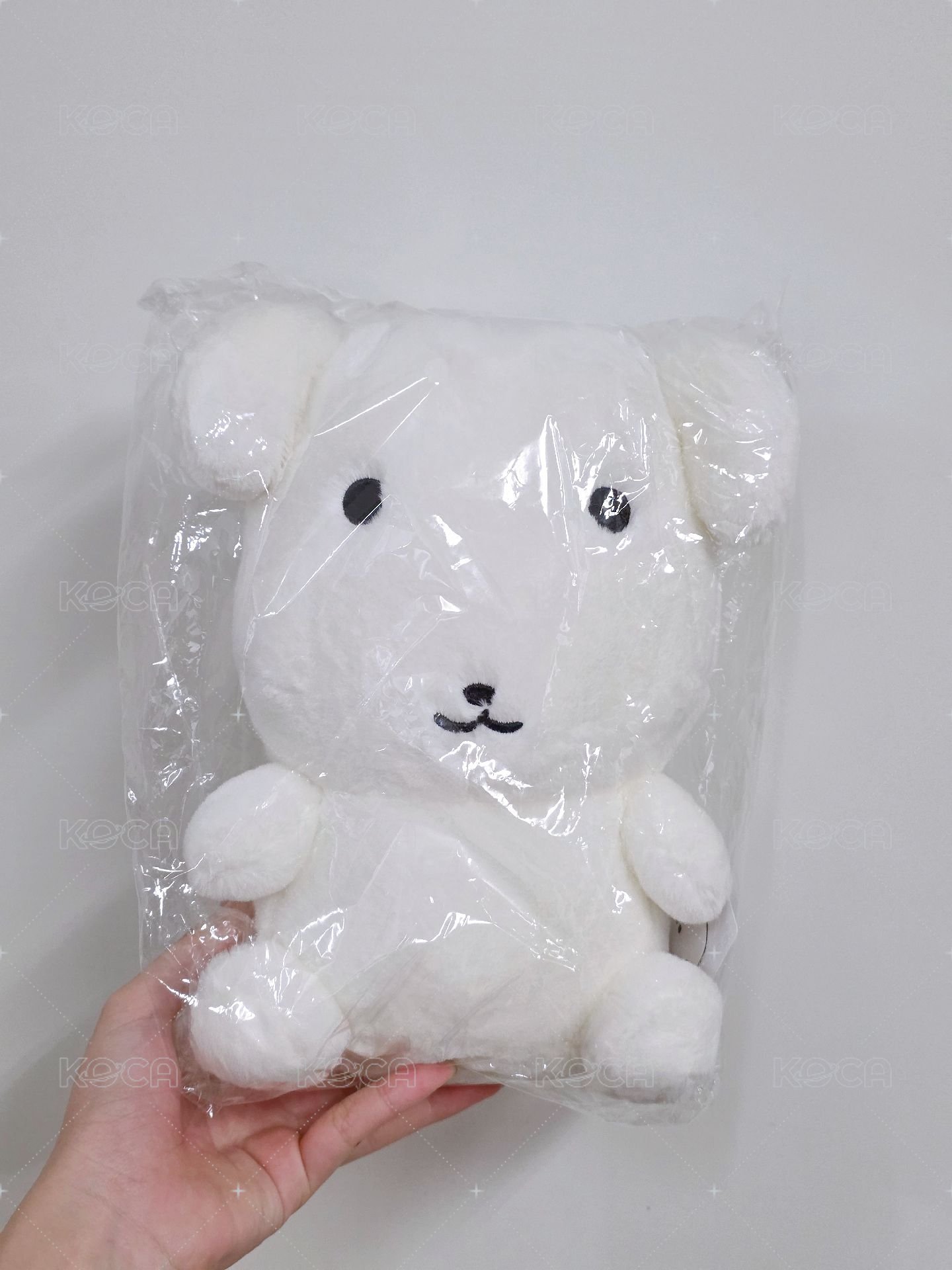 原皮大狗