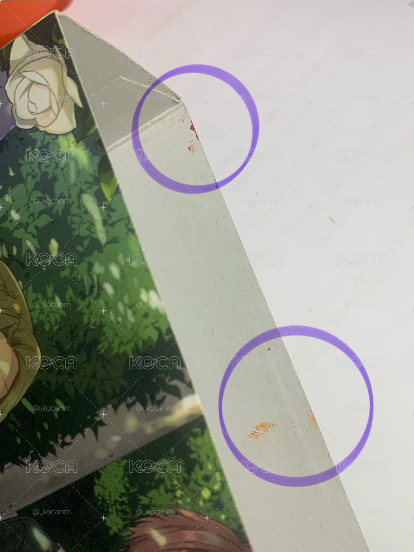 堀宮 17豪華版限定 無漫畫及插畫集