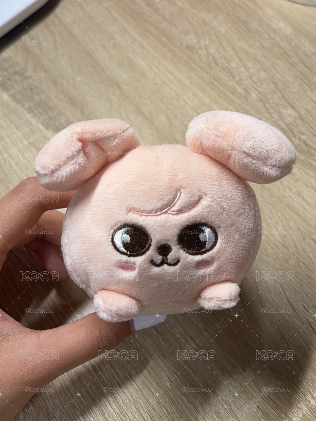 趴娃