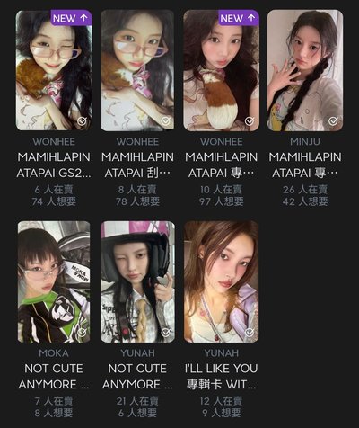 沅禧豚鼠小盤
