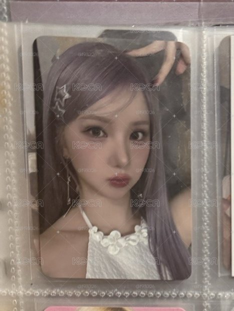 十週年 漂亮貓兒河🐰