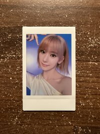 貓耳櫻