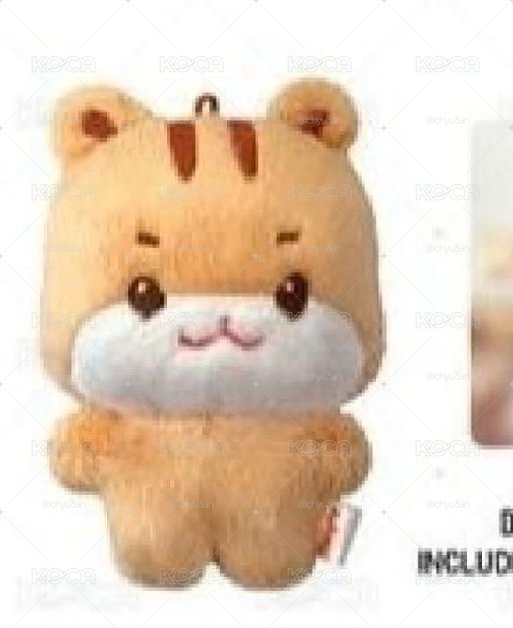 身高 10cm，脾氣 180cm