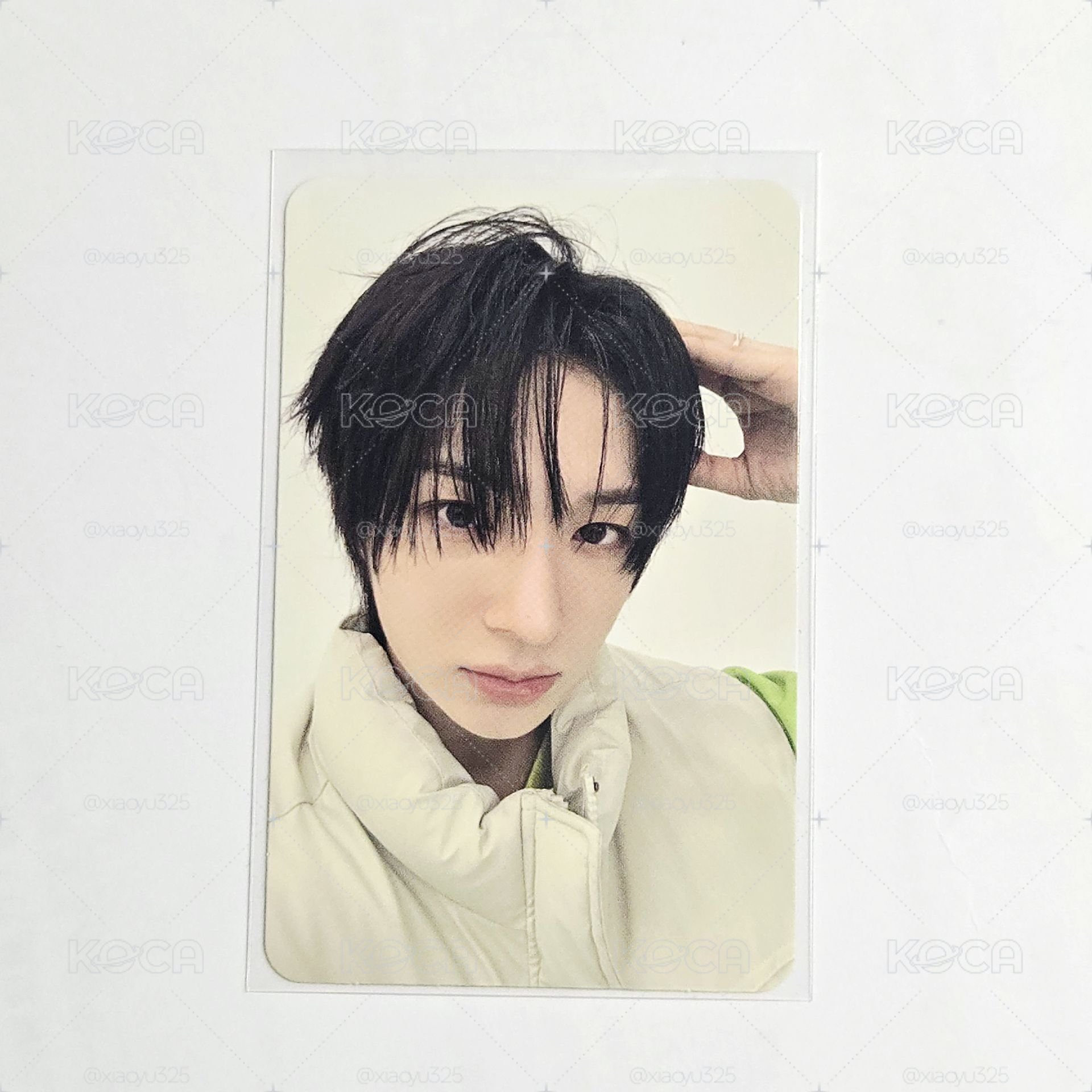 迷一 小狗打歌卡 東花