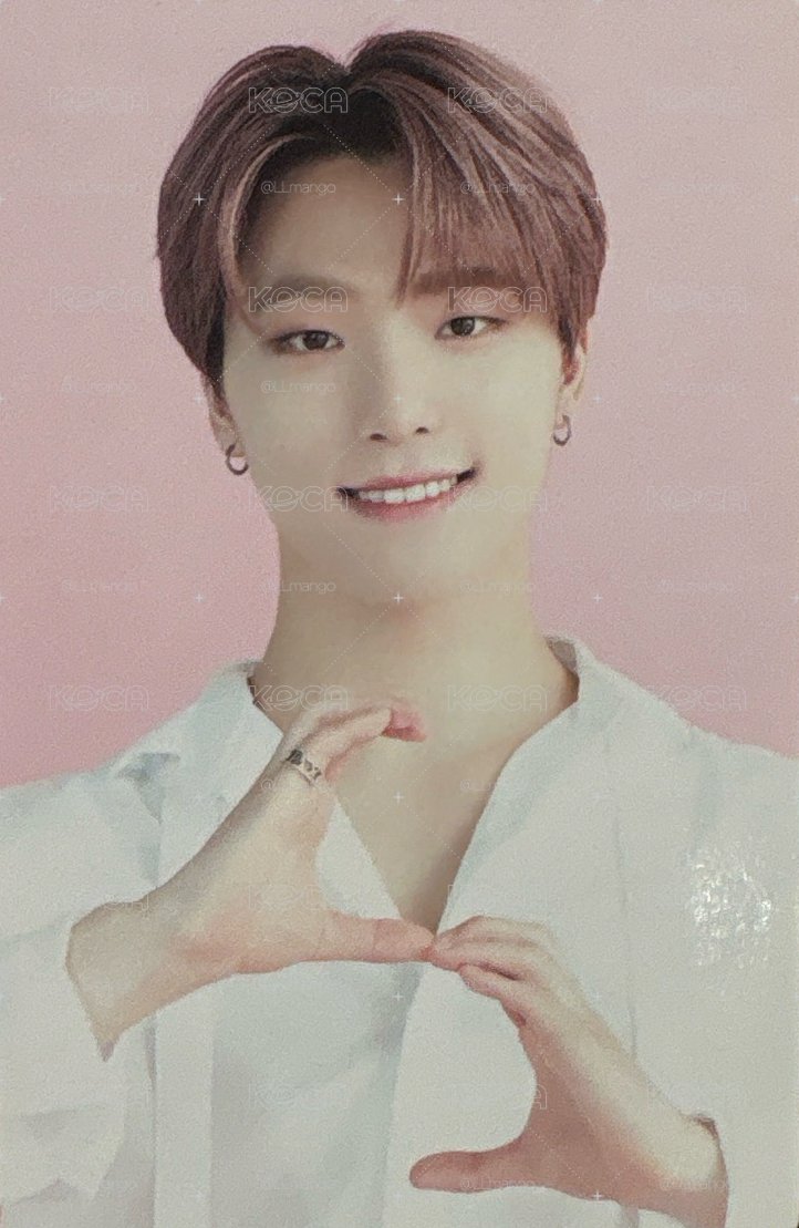 SVT Dino