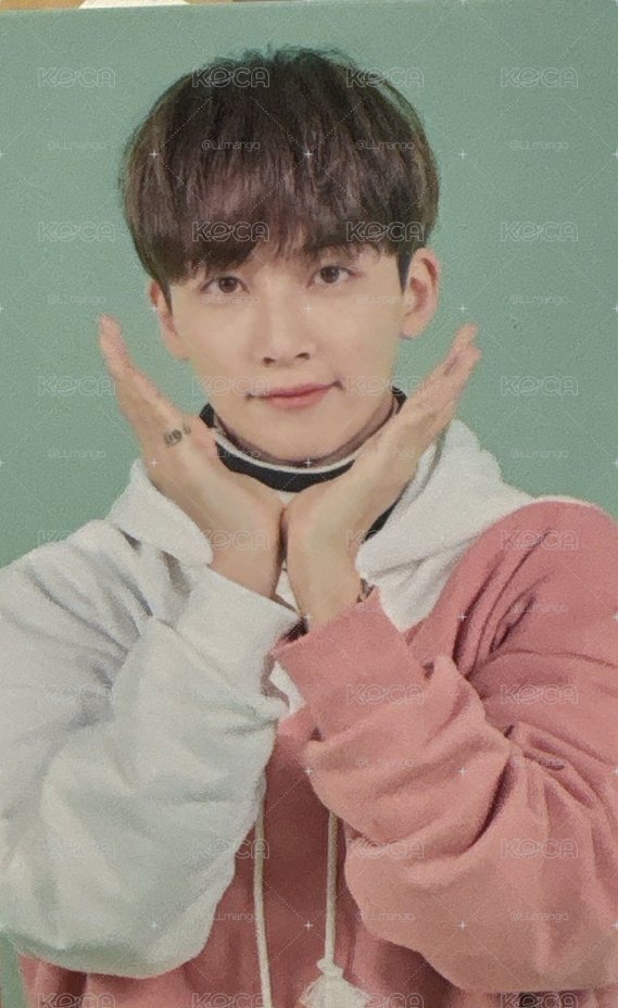 SVT 🐰