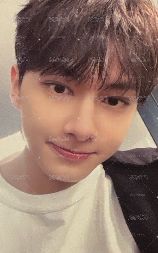 SVT Jun