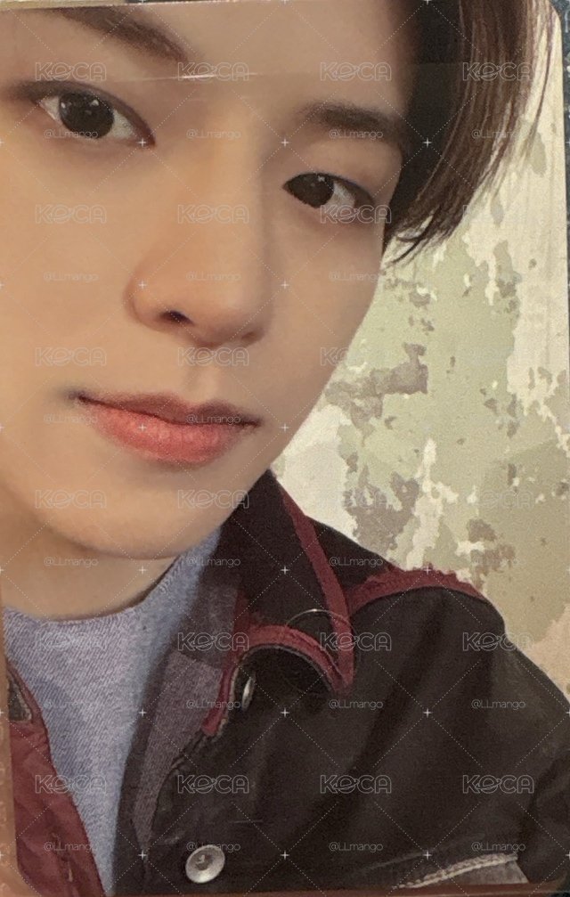 SKZ🐶