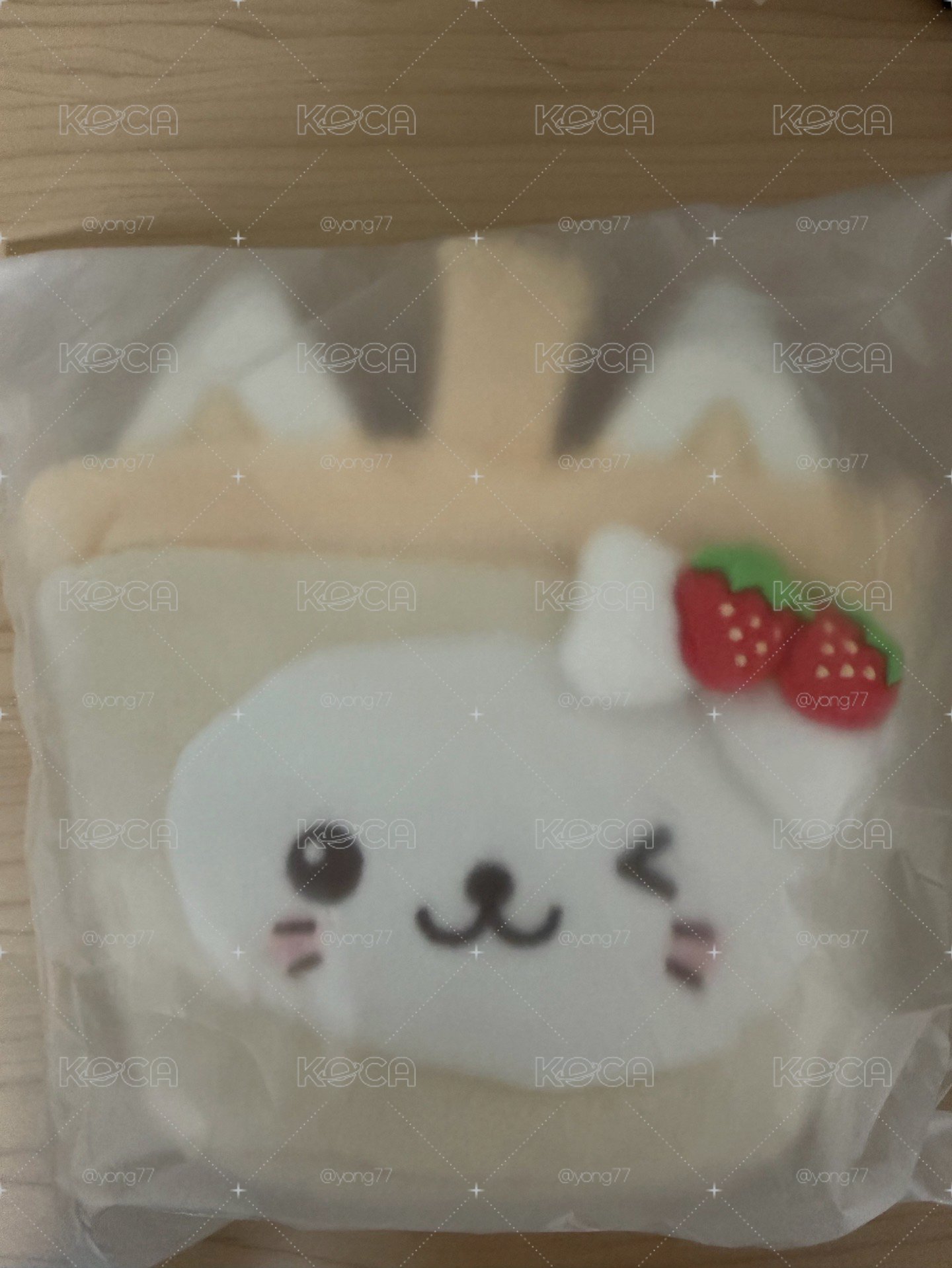 NCT Wish 草莓快閃 Yushi 娃包
