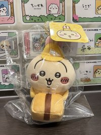 快遞員兔（吊牌有瑕