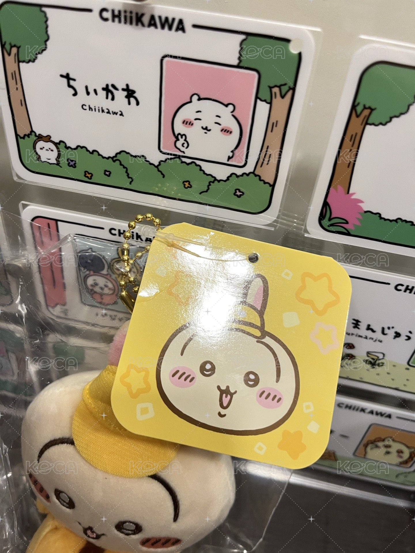 快遞員兔（吊牌有瑕