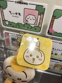 快遞員兔（吊牌有瑕