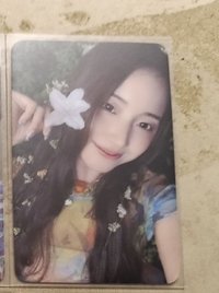仲夏夜阿拉丁特典🐶