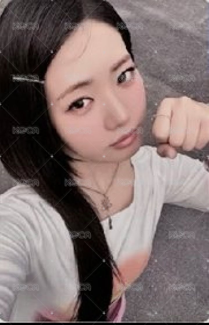 茶