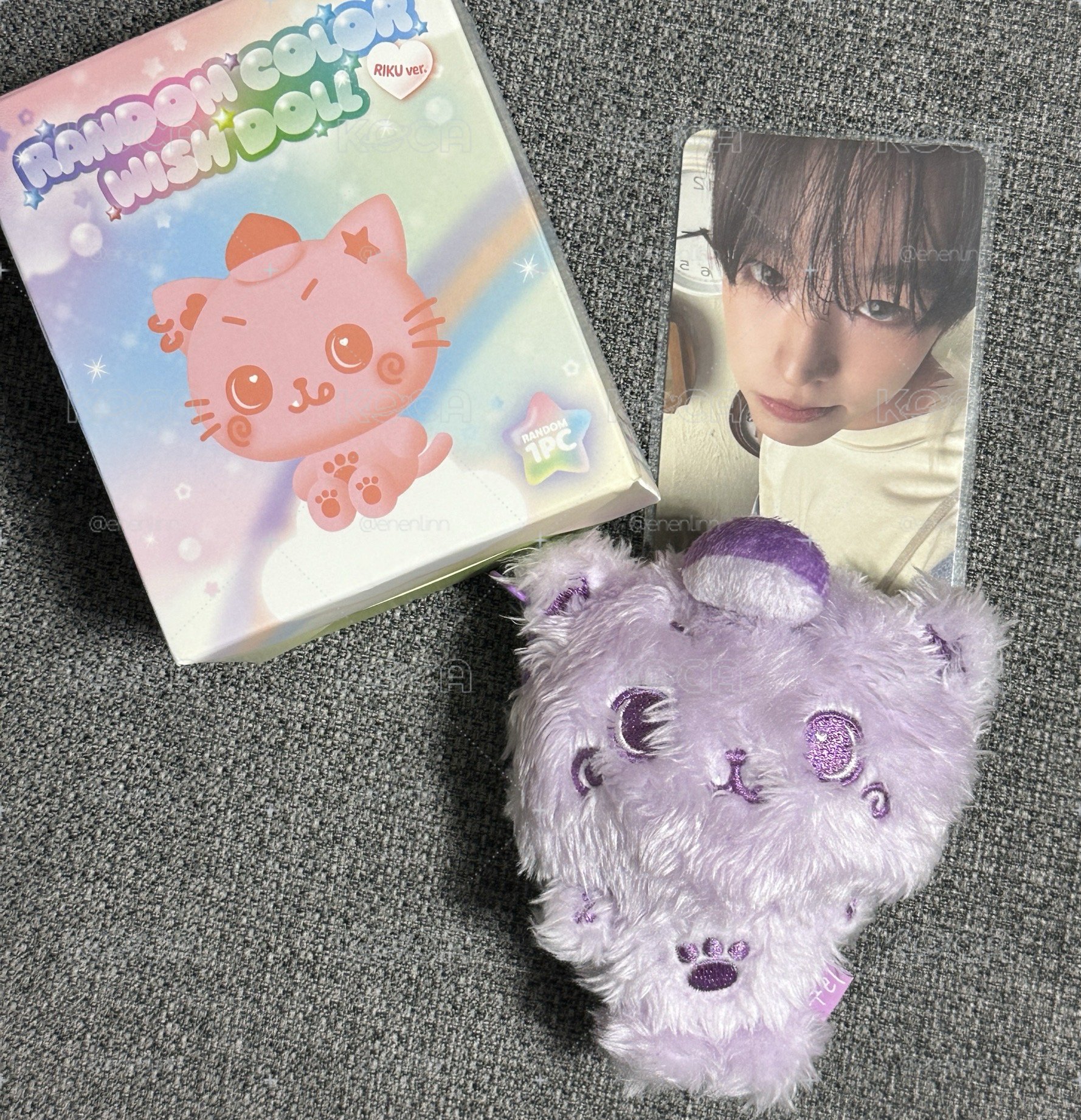 紫kuri +一張專卡