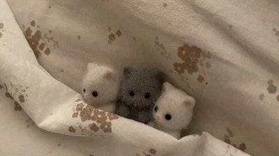 ˚.⋆꒰১ 漂漂釀釀 ໒꒱⋆.˚貴婦包裝