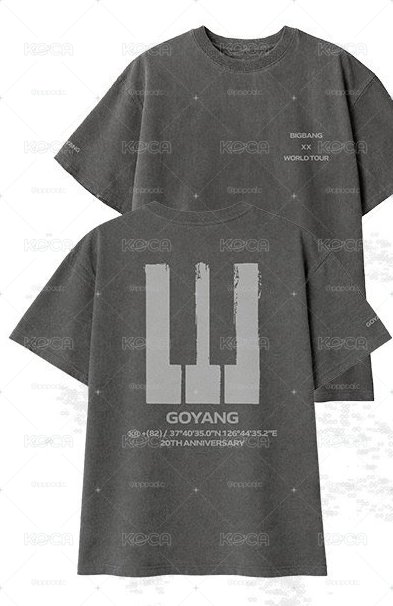 BIGBANG 高陽限定T 已購買